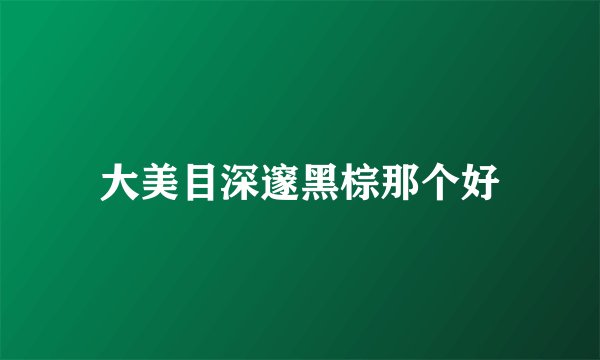 大美目深邃黑棕那个好