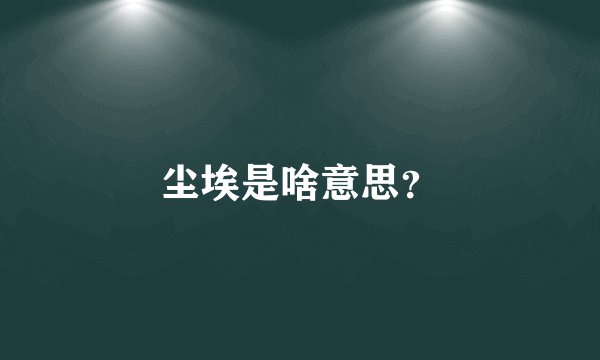 尘埃是啥意思？