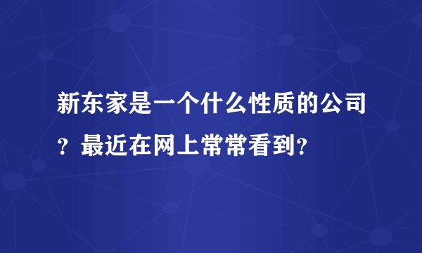 新东家是一个什么性质的公司？最近在网上常常看到？