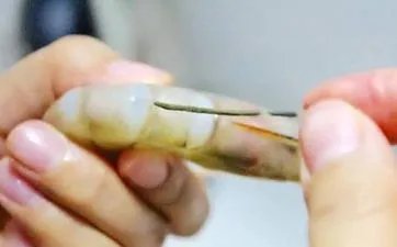 2023年农历七月初一黄道吉日时辰吉凶 今日最好的时辰