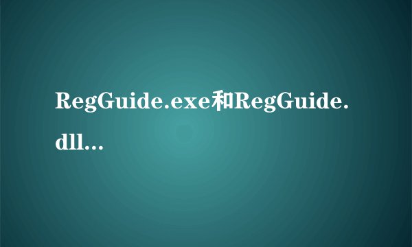 RegGuide.exe和RegGuide.dll有什么区别？