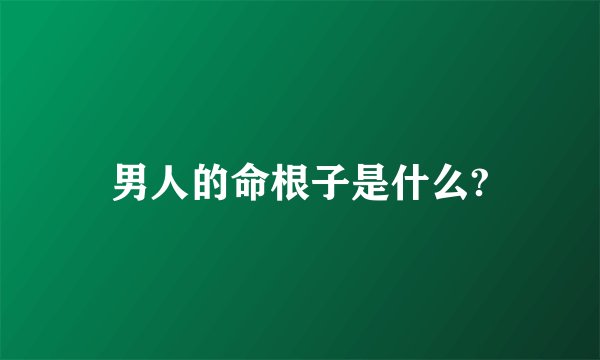 男人的命根子是什么?