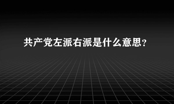共产党左派右派是什么意思？