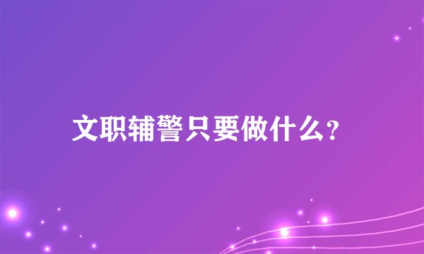 文职辅警只要做什么？