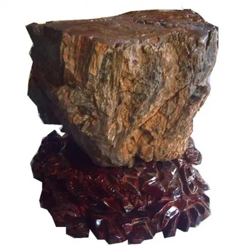 树化石图片与价格分析  树化石有收藏价值吗