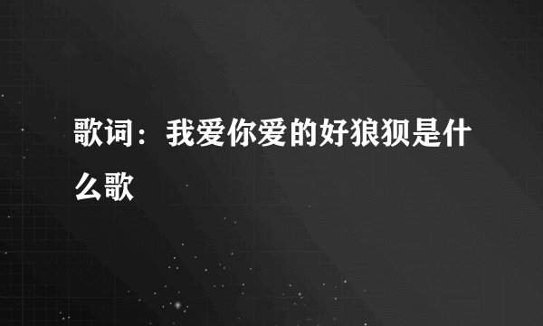 歌词：我爱你爱的好狼狈是什么歌