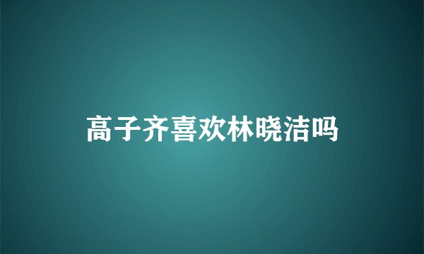 高子齐喜欢林晓洁吗