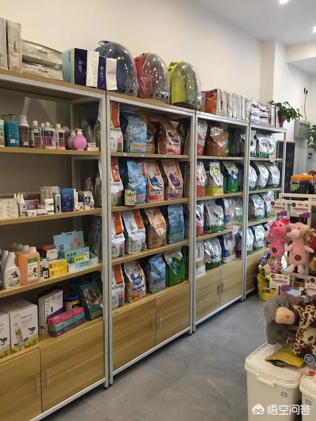 加盟一个宠物店或者自己开一个需要多少钱？