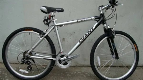 捷安特自行车图片价格