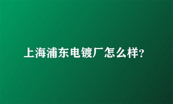 上海浦东电镀厂怎么样？