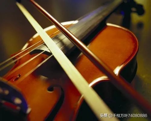 小提琴有几根弦？
