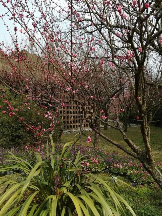 为什么生命会衰老直至死亡?