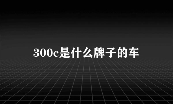 300c是什么牌子的车
