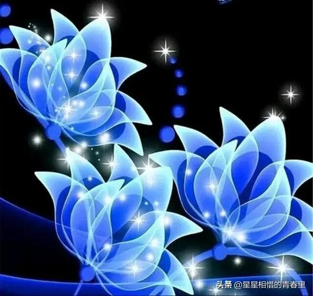 你喜欢沈春阳主演的哪部电视剧？