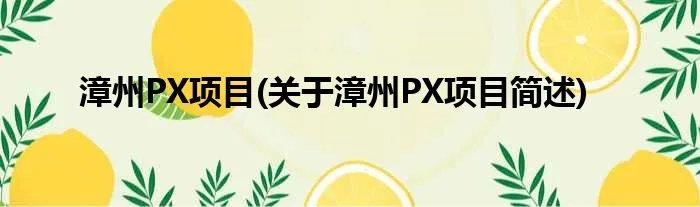 漳州PX项目(关于漳州PX项目简述)