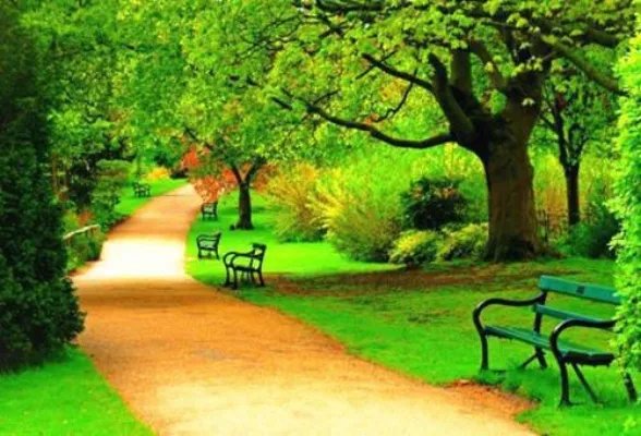 兰因絮果白芨泓凛小说免费阅读