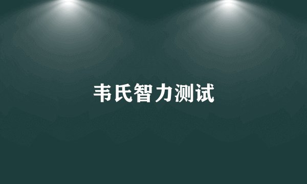 韦氏智力测试