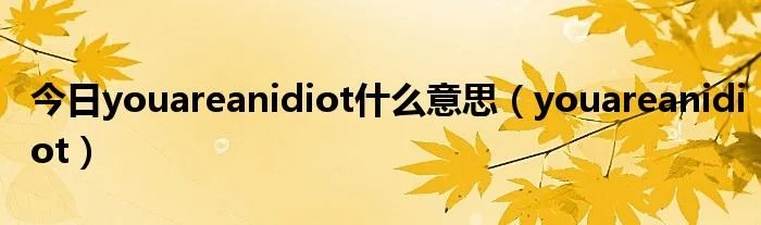 今日youareanidiot什么意思（youareanidiot）