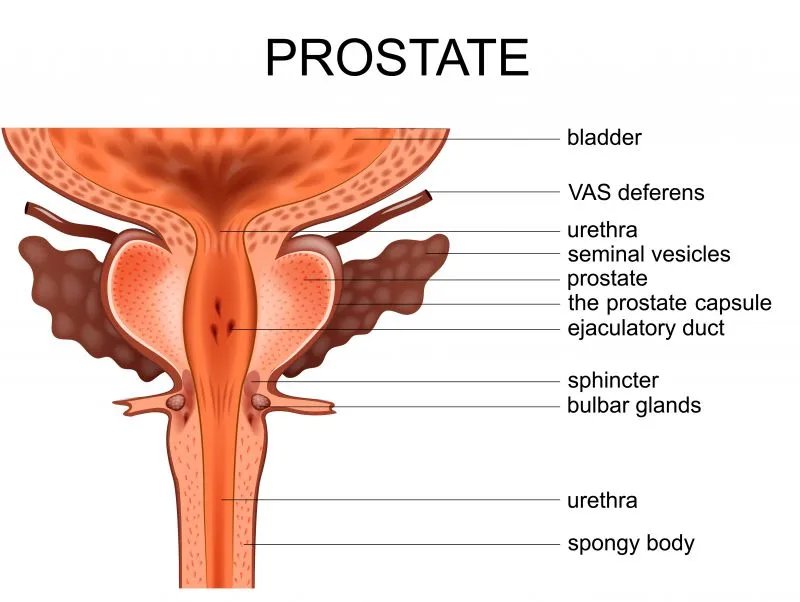 前列腺按摩器会有危害吗
