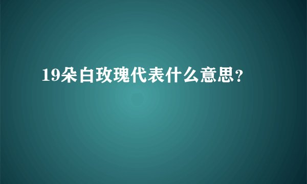 19朵白玫瑰代表什么意思？