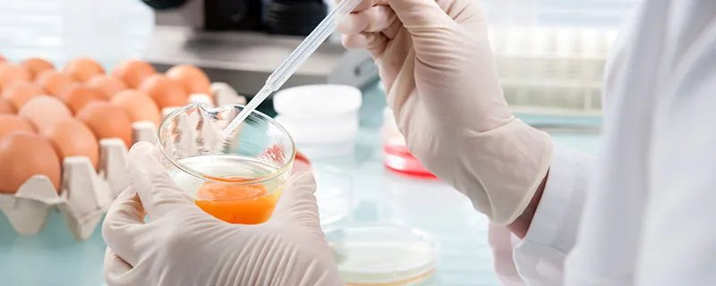 绿色食品指什么