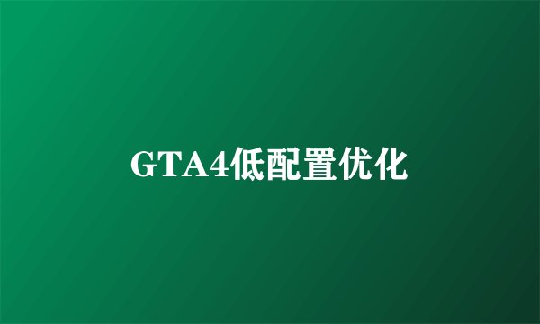 GTA4低配置优化