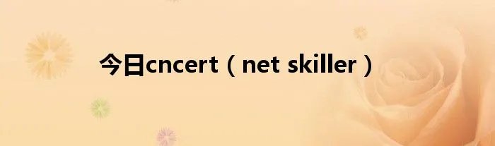 今日cncert（net skiller）