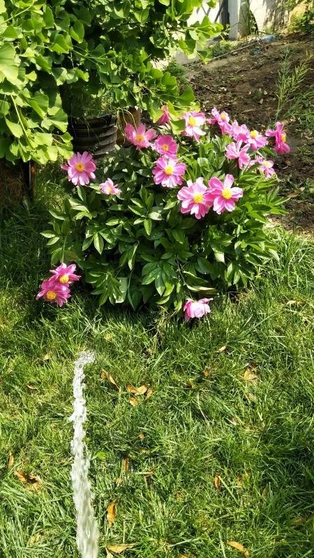 首付是我付的,月供是男朋友出的,分手后我应付对方那些钱？