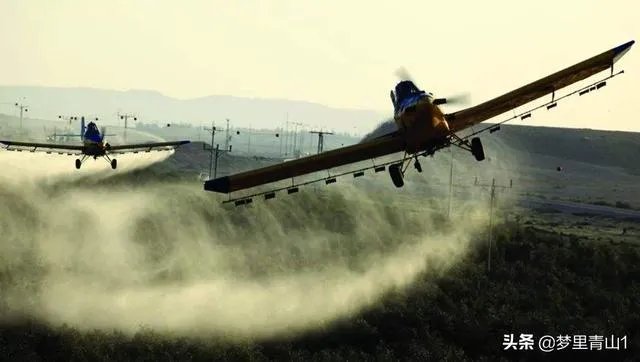 巴基斯坦蝗灾怎么样了？最近怎么感觉没人提及？