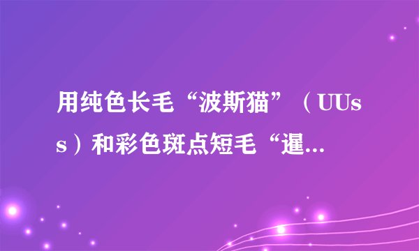 用纯色长毛“波斯猫”（UUss）和彩色斑点短毛“暹罗猫”（uuSS）杂交，可以培育出彩色斑点长毛的“喜马拉雅猫”。 若U、u基因控制纯色和彩色斑点，S、s基因控制短毛和长毛，且两对等位基因分别位于两对同源染色体上。请回答问题：${F}_{1}$的基因型为____，表现型为____。${F}_{2}$中“喜马拉雅猫”的基因型为____，所占的比例为____。${F}_{2}$中还会出现彩色斑点短毛“暹罗猫”，其基因型为____。