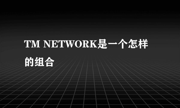 TM NETWORK是一个怎样的组合