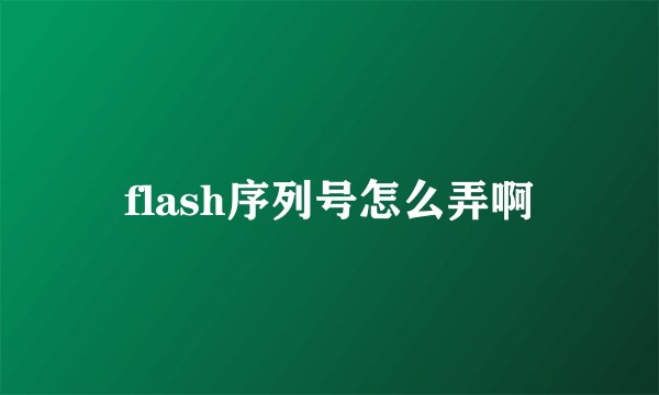 flash序列号怎么弄啊