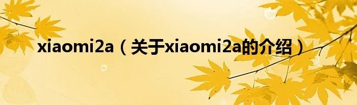 xiaomi2a（关于xiaomi2a的介绍）