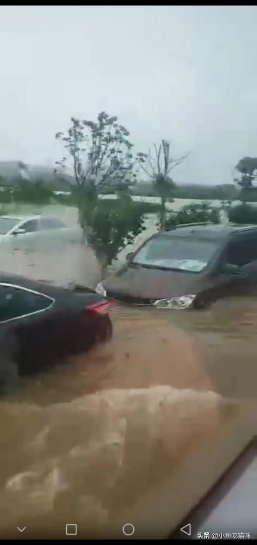 南方汛情是今年严峻，还是98年严峻？