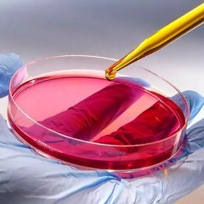 尿毒症透析的费用