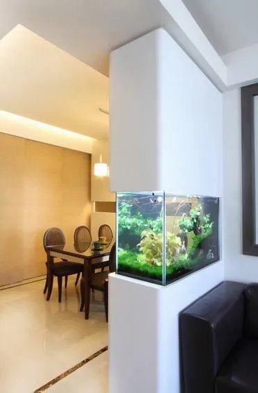 如何优雅的布置一个十公升的小水族箱？