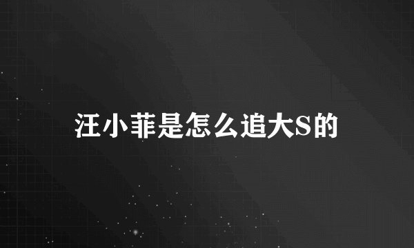 汪小菲是怎么追大S的