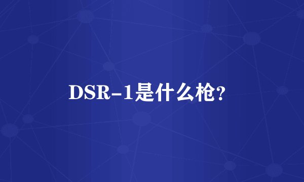 DSR-1是什么枪？