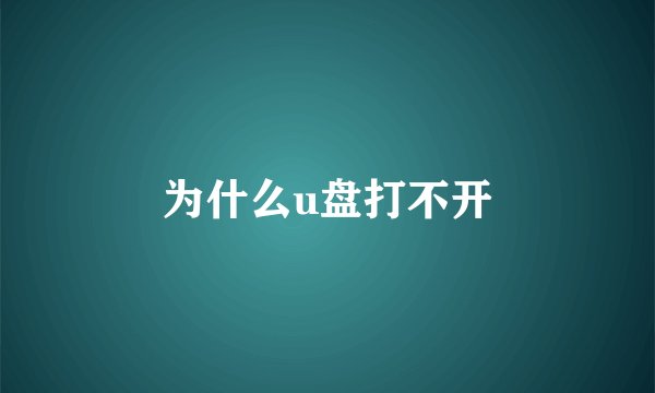 为什么u盘打不开