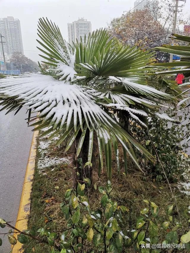 你见过身边有人姓仝（tong）吗？