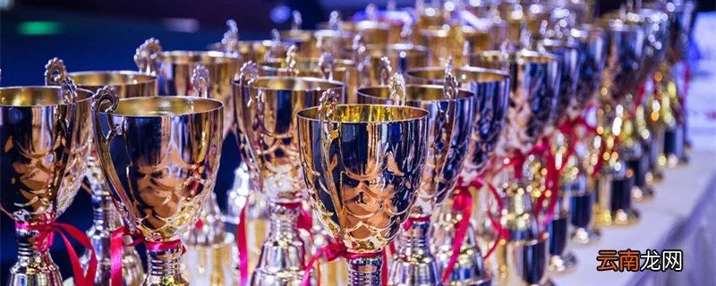 什么是卫冕冠军 成功卫冕冠军是什么意思