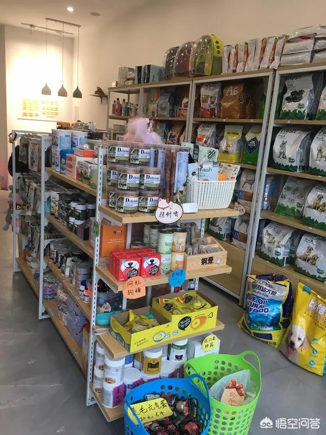 加盟一个宠物店或者自己开一个需要多少钱？