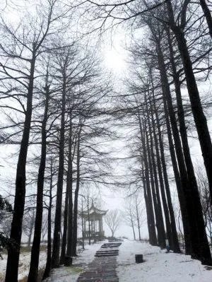 宁波的冬天会下雪吗?