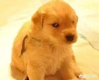 死人体重实验是真的吗？人类灵魂重量21.3克是真的吗？有什么科学依据吗？