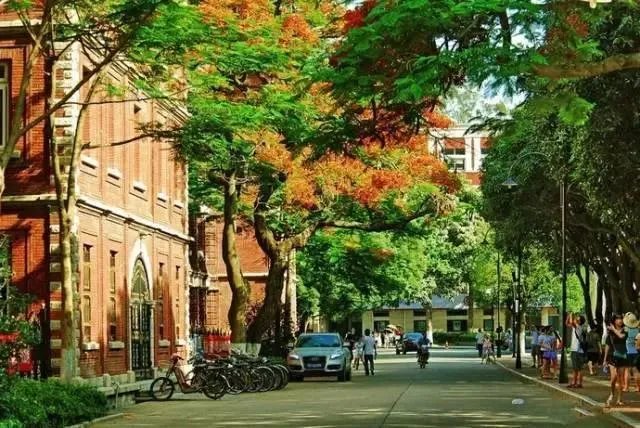 郑州出发去厦门的旅游攻略有什么？