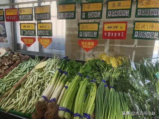 菜价上涨严重，到底是什么原因？