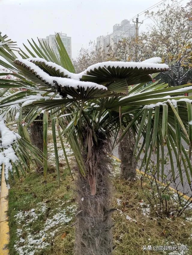 你见过身边有人姓仝（tong）吗？