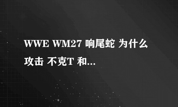 WWE WM27 响尾蛇 为什么 攻击 不克T 和 小播报员？