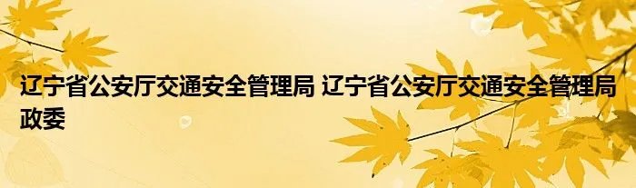 辽宁省公安厅交通安全管理局 辽宁省公安厅交通安全管理局政委