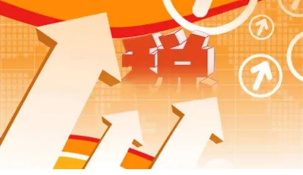 国家税务总局网站